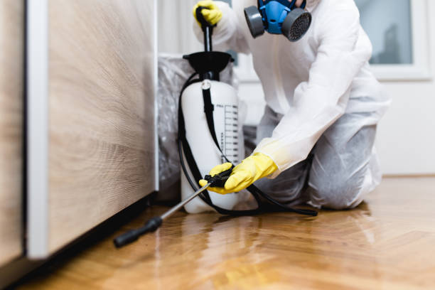 Best Insect Control  in Dawson, GA