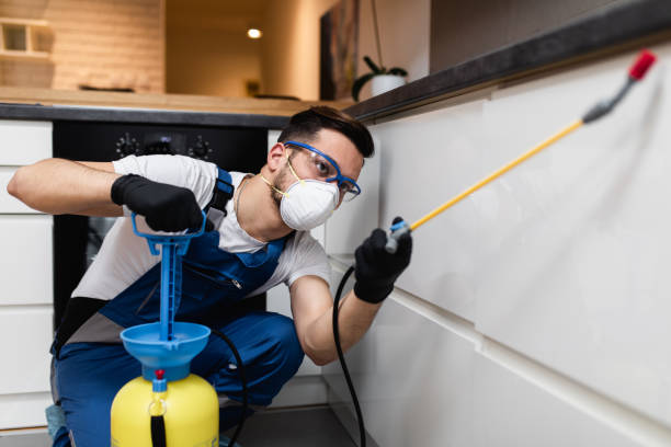 Reliable Dawson, GA Pest Control Solutions