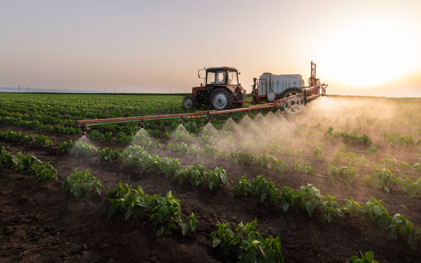 Best Mosquito Control Services  in Dawson, GA