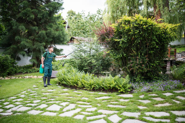 Pest Prevention Services in Dawson, GA