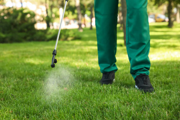 Best Affordable Pest Control Services  in Dawson, GA