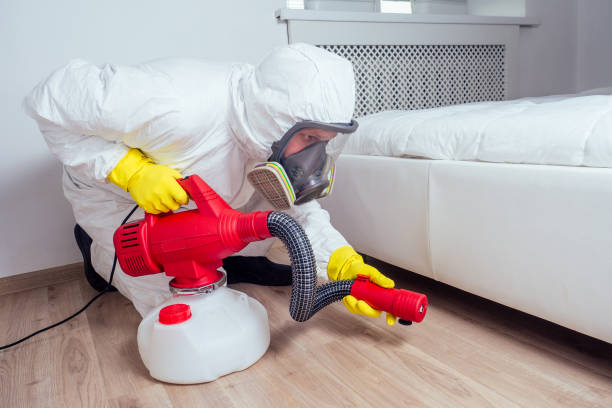 Best Rat Extermination Near Me  in Dawson, GA