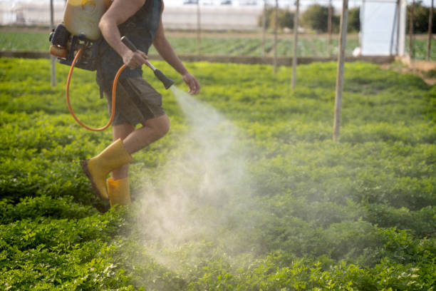 Best Affordable Exterminators  in Dawson, GA