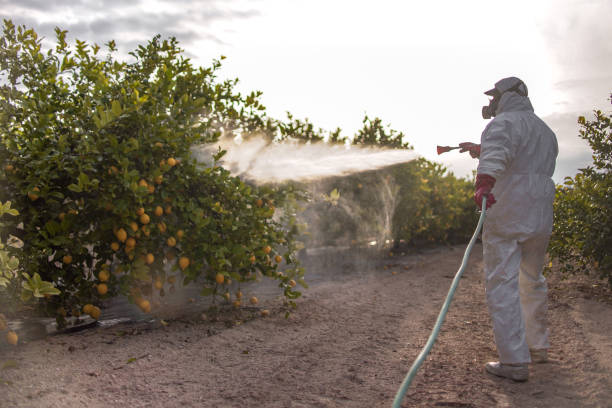 Best Best Pest Control Companies  in Dawson, GA