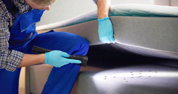Best Local Pest Control Services  in Dawson, GA