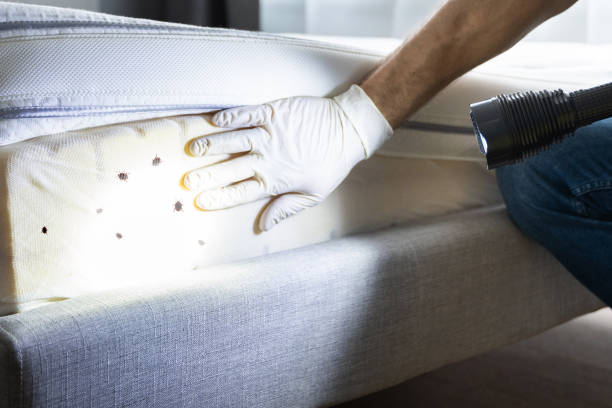 Best Wildlife Control Services  in Dawson, GA