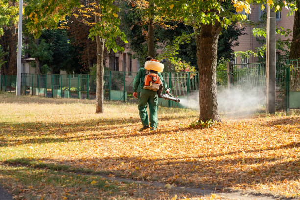 Pest Prevention Services in Dawson, GA