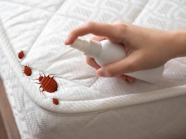 Best Pest Inspection Near Me  in Dawson, GA