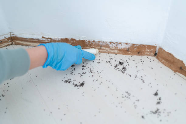 Dawson, GA Pest Control Company
